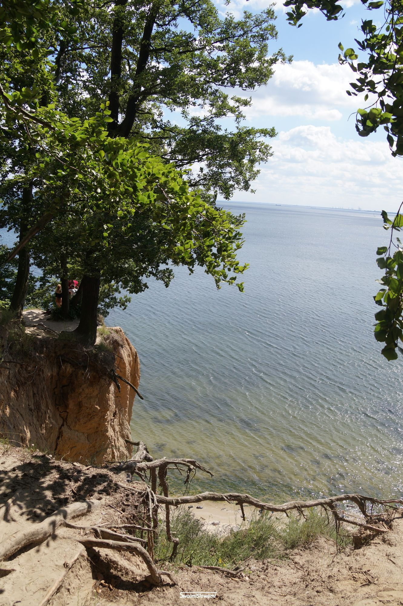 Gdynia Orlowo Klif 24.jpg